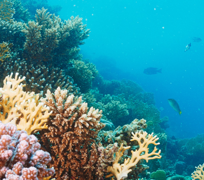 Sabang Wreck