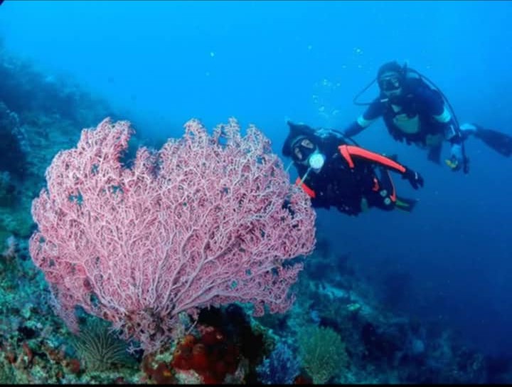Diving Equipment